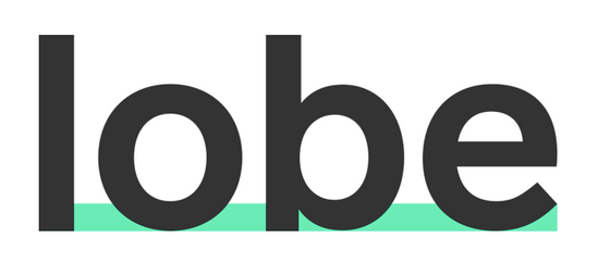 Microsoft Lobe for introducing Machine Learning to beginners
